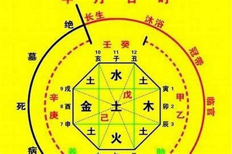 八字免費算|生辰八字算命、五行喜用神查詢（免費測算）